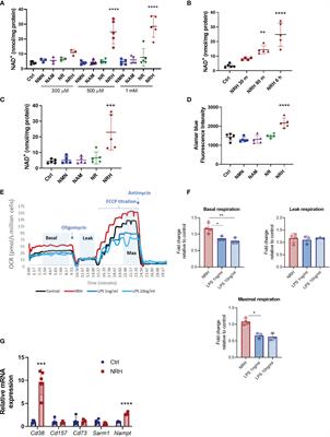 Dihydronicotinamide Riboside Is a Potent NAD+ Precursor Promoting a Pro-Inflammatory Phenotype in Macrophages